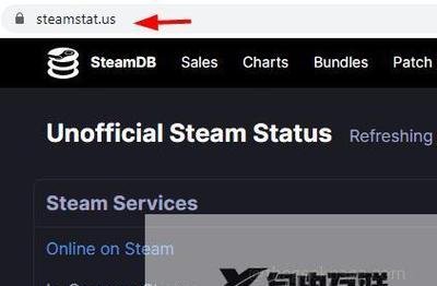 解决Steam错误代码118的有效方法（快速解决Steam错误代码118的关键步骤）