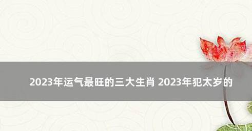 解析斗战神龙女2024年技能加点图（探索斗战神龙女技能加点的最佳方案及策略）